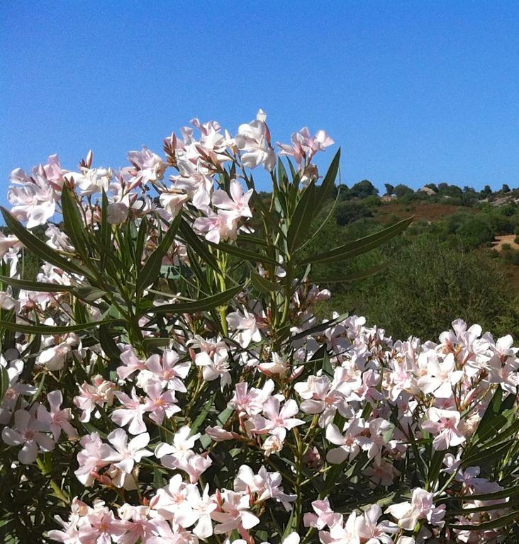 Vila Le Tre Pietre Baia Sardinia Exteriér fotografie